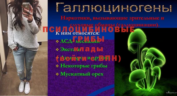 mdpv Арсеньев