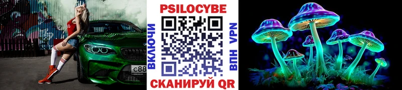 Псилоцибиновые грибы прущие грибы  где можно купить наркотик  Баксан 