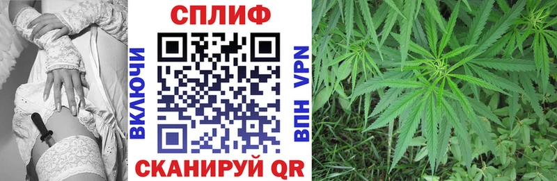 Канабис SATIVA & INDICA  Баксан 